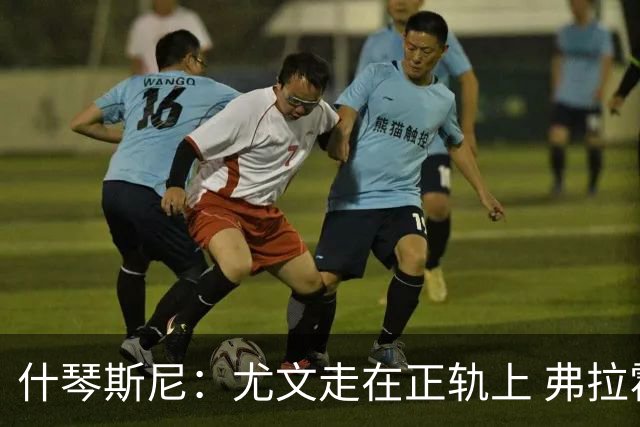 什琴斯尼：尤文走在正轨上 弗拉霍维奇非常出色