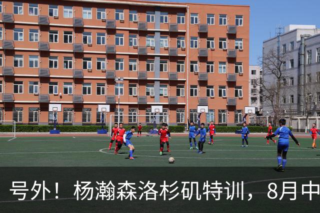 号外！杨瀚森洛杉矶特训，8月中旬回国，征战世预赛，继续当陪练？