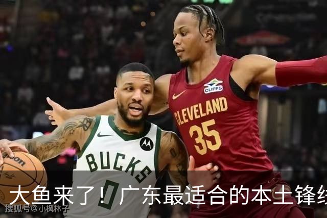 大鱼来了！广东最适合的本土锋线曝光，朱芳雨可能完成“2换1”？