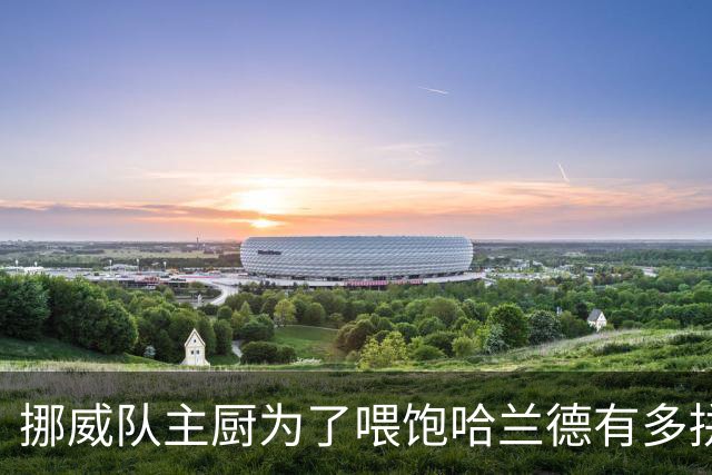 挪威队主厨为了喂饱哈兰德有多拼？他每天要补充6000卡路里热量，进入淘汰赛后球队紧急订购食材