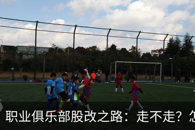 职业俱乐部股改之路：走不走？怎么走？