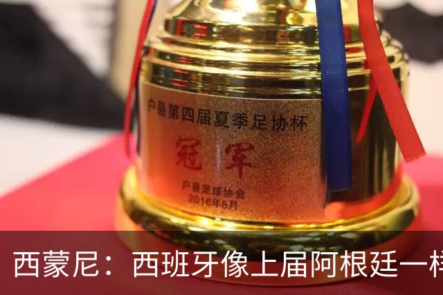 西蒙尼：西班牙像上届阿根廷一样靠团队夺冠；无人能取代格子