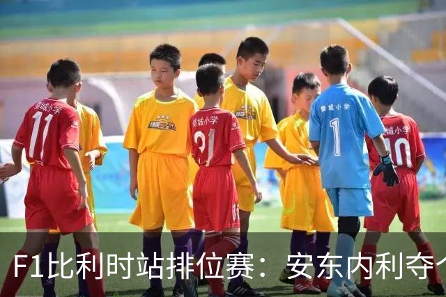 F1比利时站排位赛：安东内利夺个人赛季第六杆，维斯塔潘第二